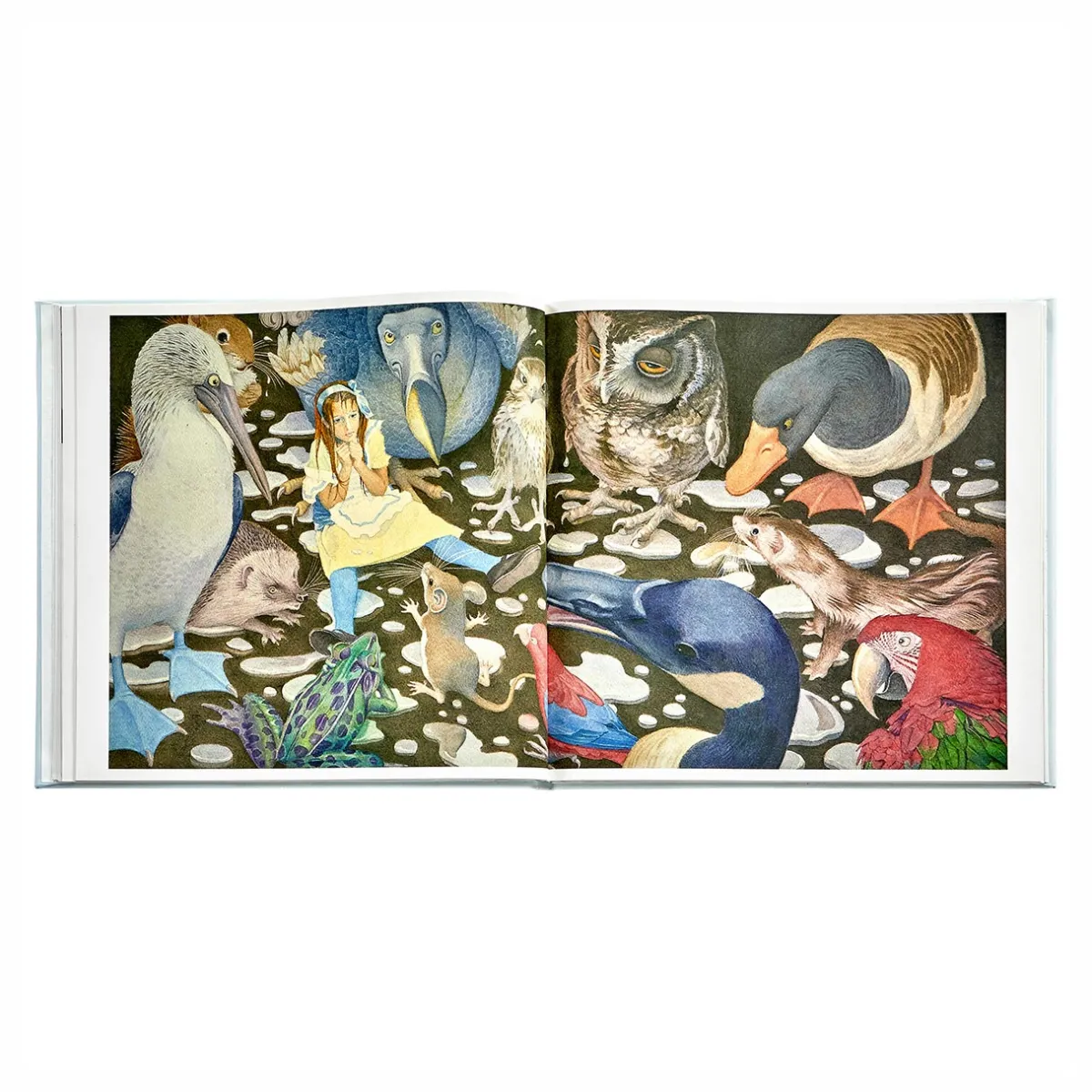 Levenger Books*Alice's Adventures in Wonderland
