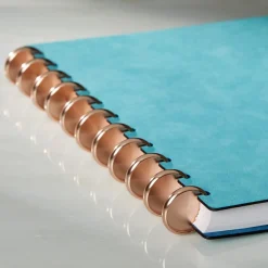 Levenger Discs*Aluminum Circa Notebook Discs (set of 11)