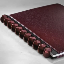 Levenger Discs*Aluminum Circa Notebook Discs (set of 11)
