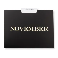 Levenger Filing & Folders|Filing & Folders*Avant-Garde Monthly File Folders (set of 12)