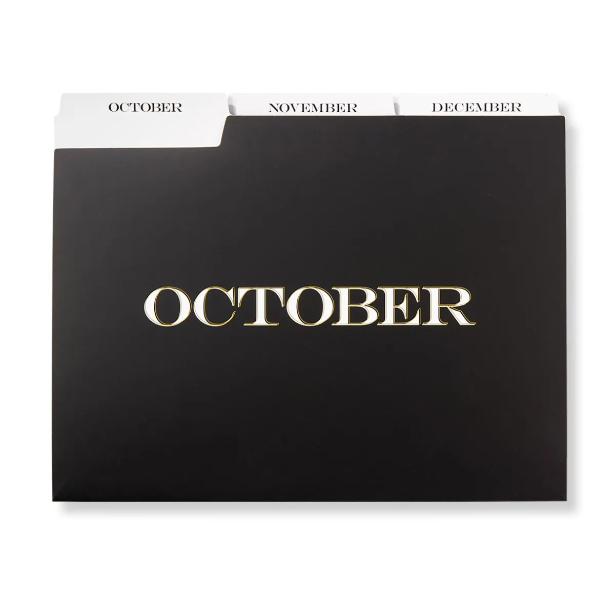 Levenger Filing & Folders|Filing & Folders*Avant-Garde Monthly File Folders (set of 12)