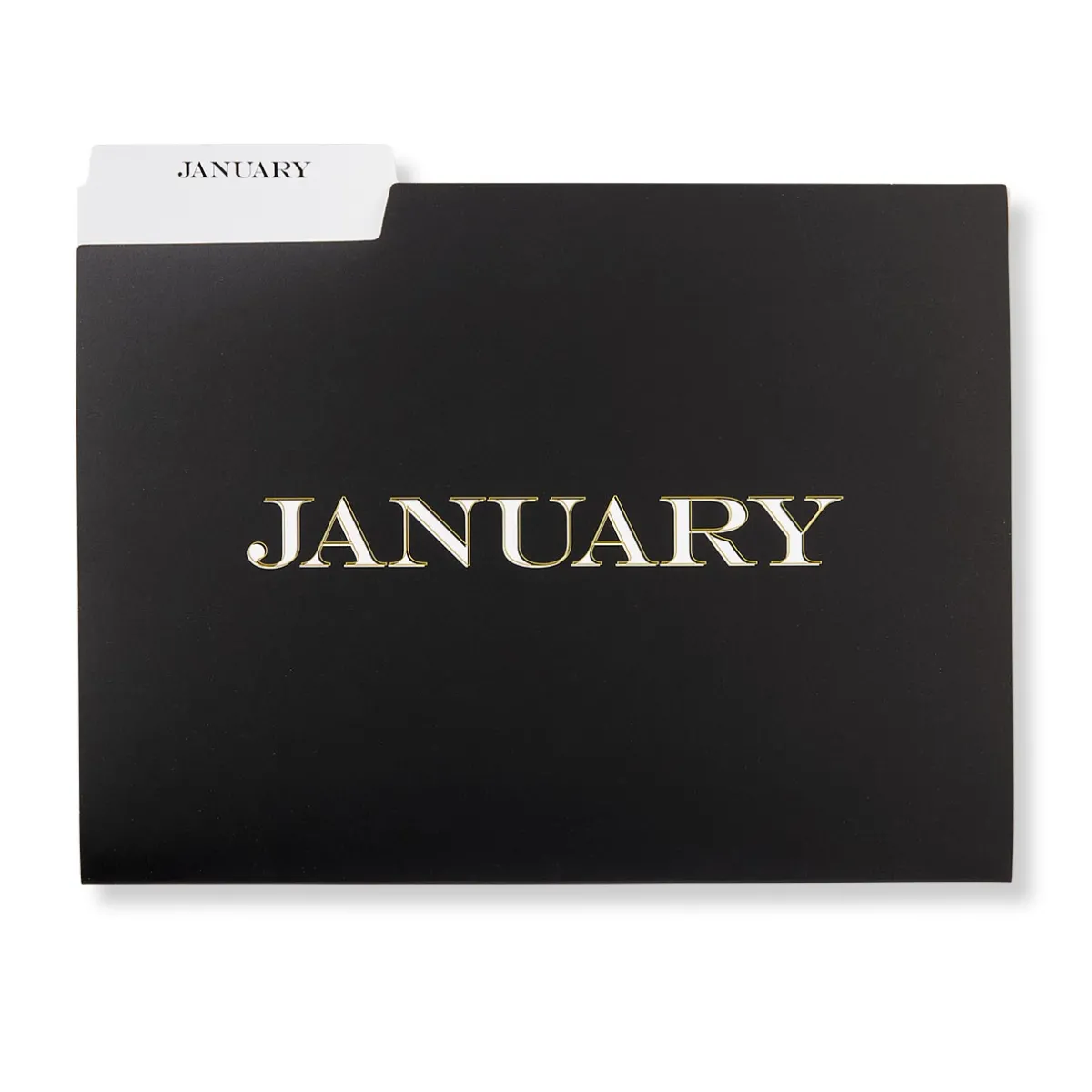 Levenger Filing & Folders|Filing & Folders*Avant-Garde Monthly File Folders (set of 12)