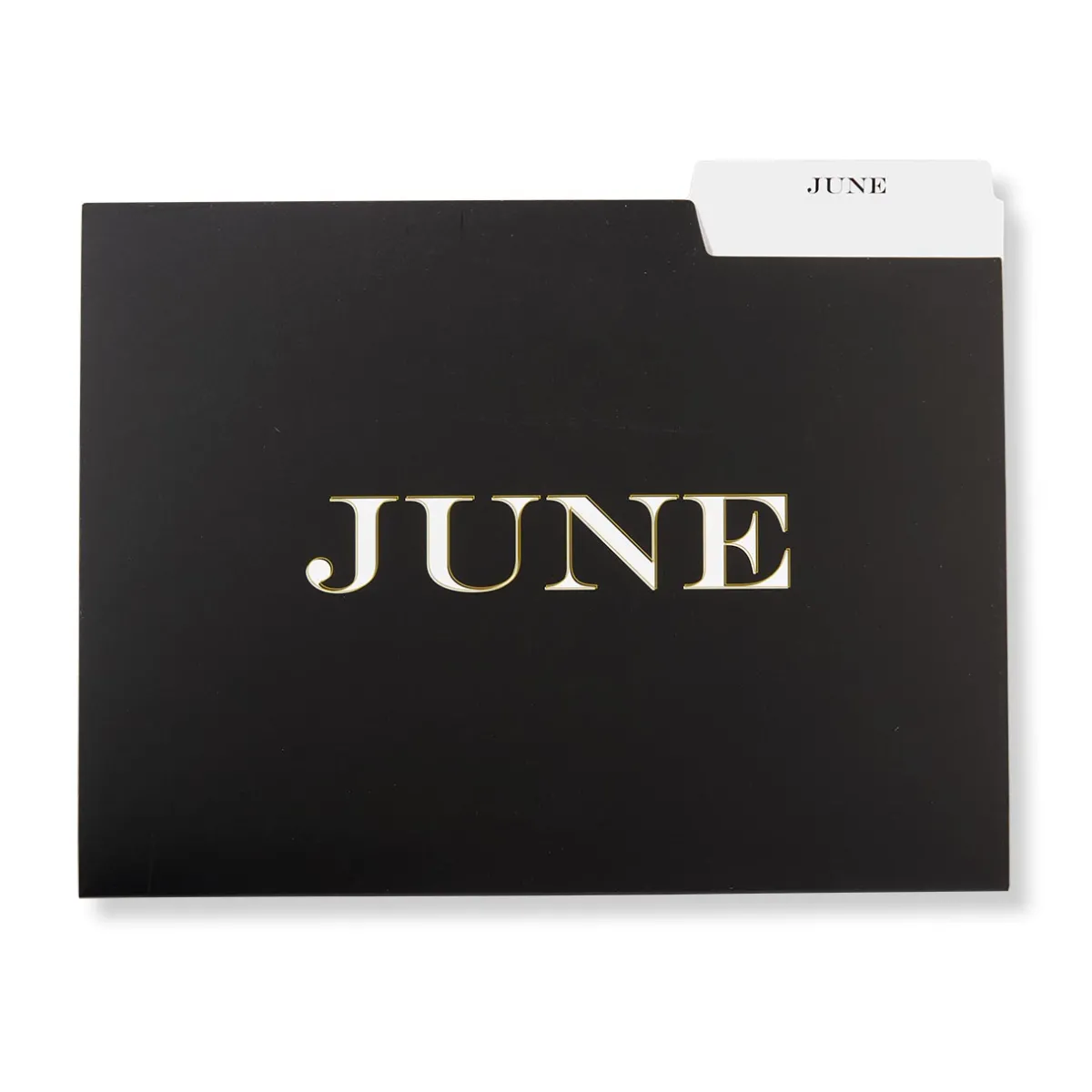 Levenger Filing & Folders|Filing & Folders*Avant-Garde Monthly File Folders (set of 12)