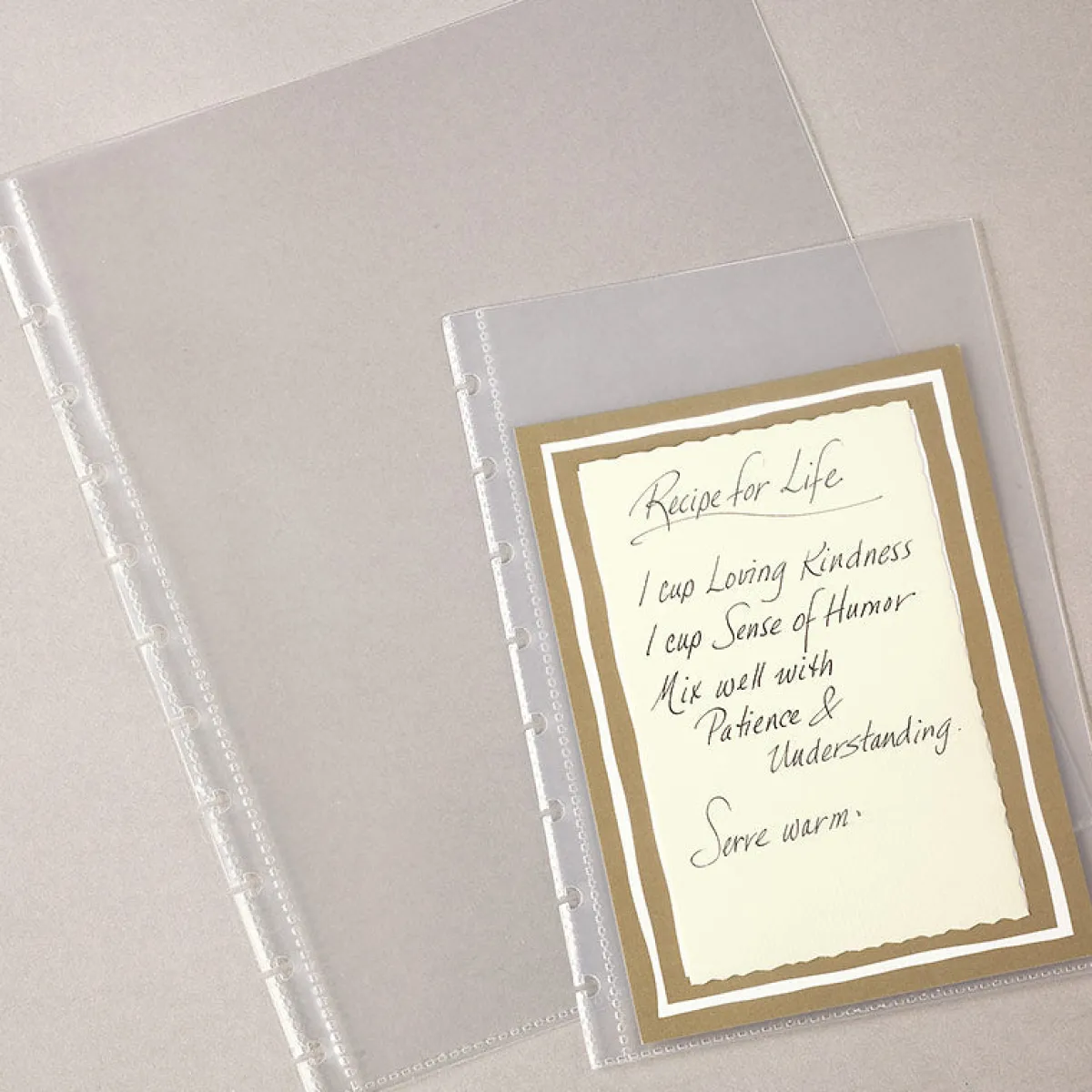 Levenger Accessories*Circa Discbound Notebook Sheet Protectors (set of 5)