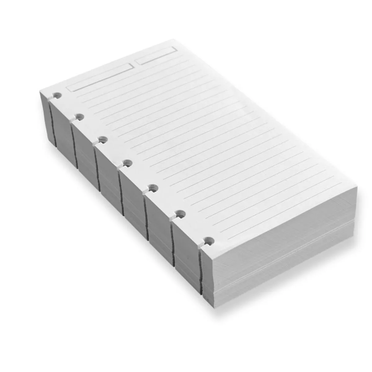 Levenger Compact Refills|Junior Refills*Circa Full-Page 1/4" Ruled Discbound Refill (300 sheets)