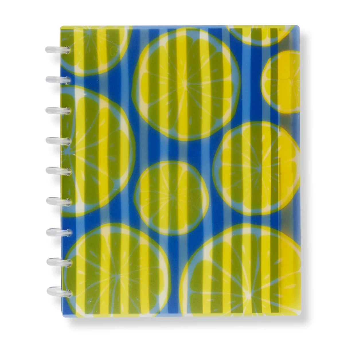 Levenger Midway Notebooks*Circa Lemonade Weekly/Monthly Undated Agenda Notebook
