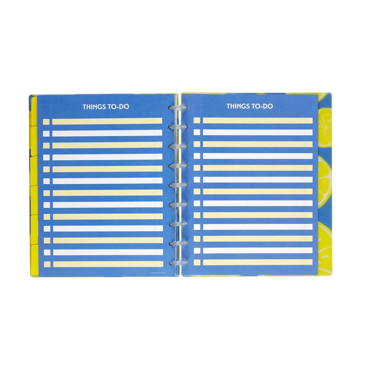 Levenger Midway Notebooks*Circa Lemonade Weekly/Monthly Undated Agenda Notebook