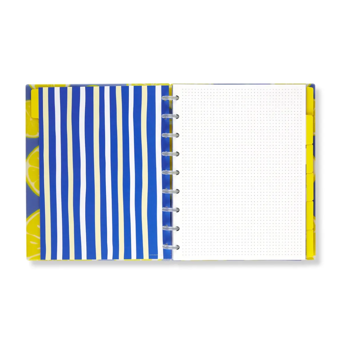 Levenger Midway Notebooks*Circa Lemonade Weekly/Monthly Undated Agenda Notebook