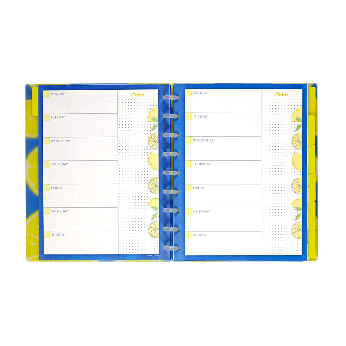 Levenger Midway Notebooks*Circa Lemonade Weekly/Monthly Undated Agenda Notebook