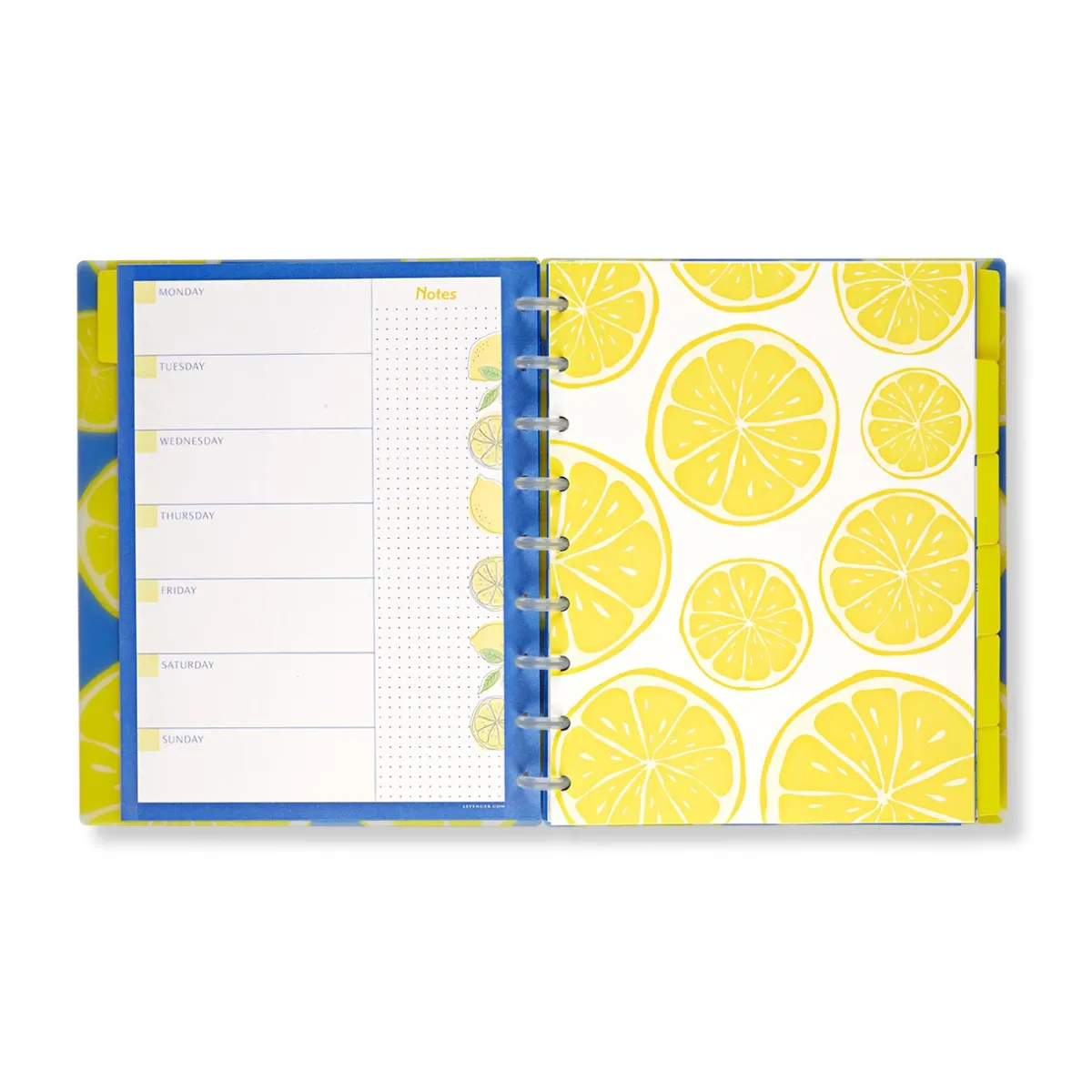 Levenger Midway Notebooks*Circa Lemonade Weekly/Monthly Undated Agenda Notebook