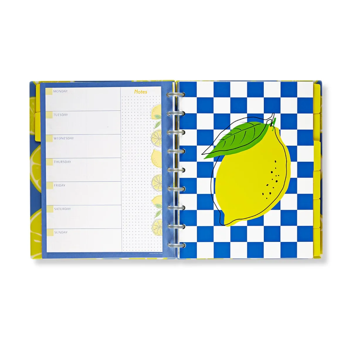 Levenger Midway Notebooks*Circa Lemonade Weekly/Monthly Undated Agenda Notebook