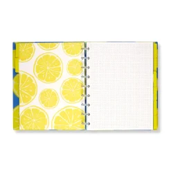 Levenger Midway Notebooks*Circa Lemonade Weekly/Monthly Undated Agenda Notebook