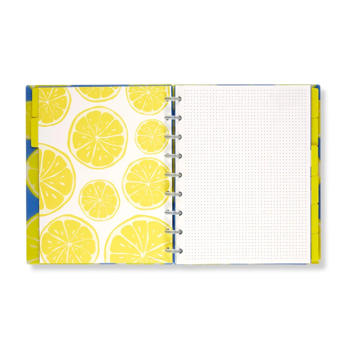 Levenger Midway Notebooks*Circa Lemonade Weekly/Monthly Undated Agenda Notebook