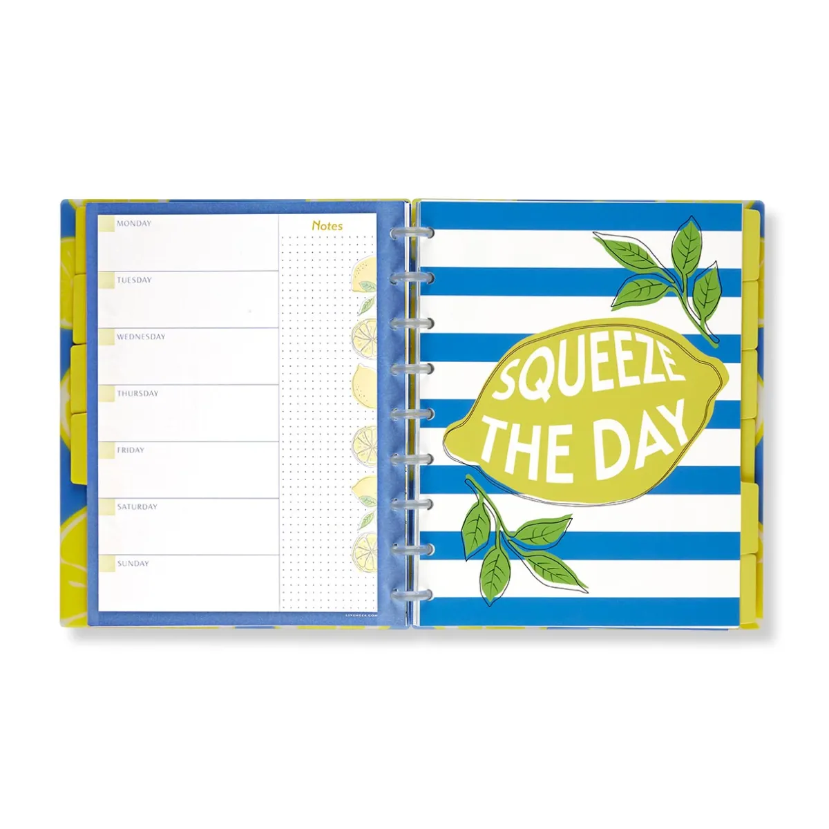 Levenger Midway Notebooks*Circa Lemonade Weekly/Monthly Undated Agenda Notebook