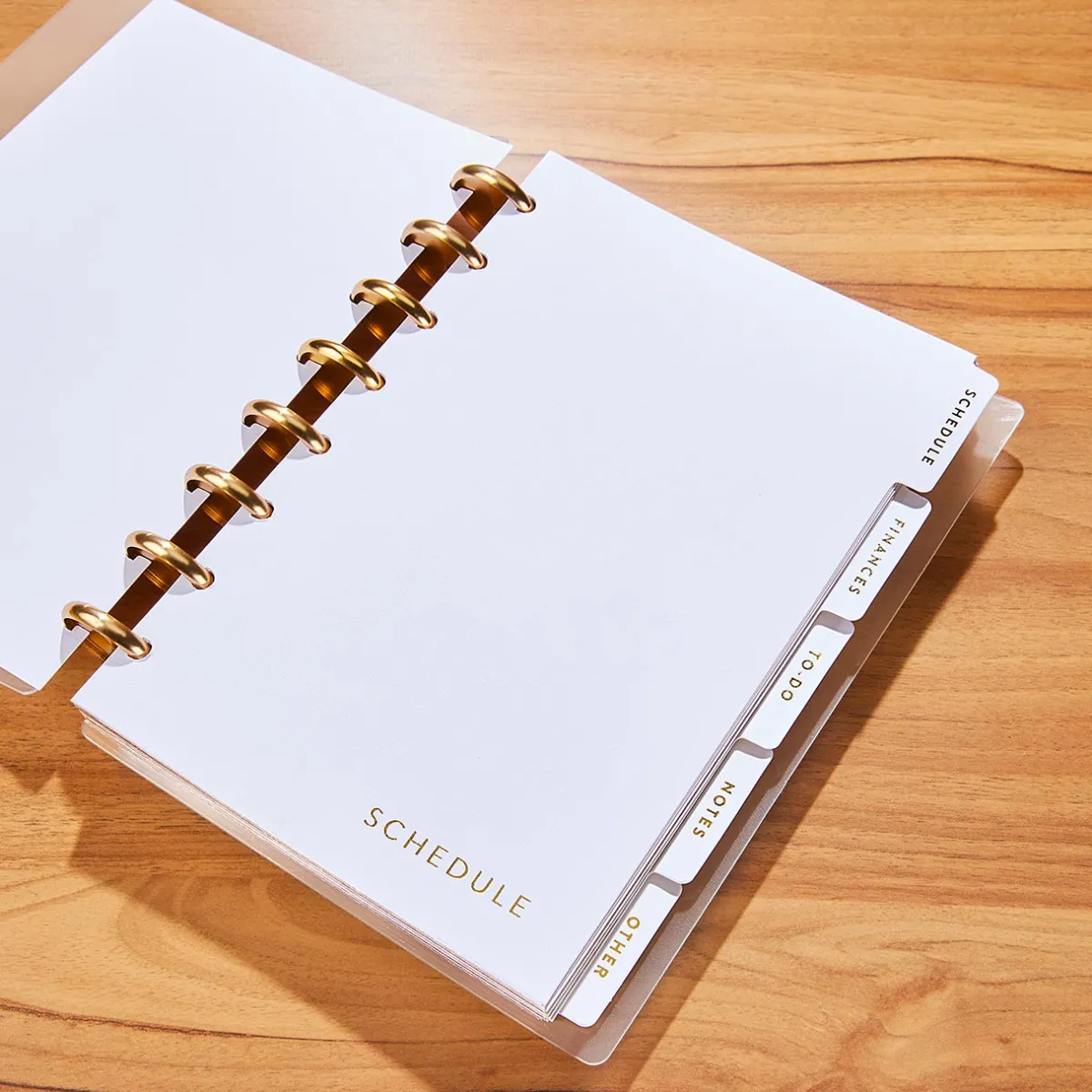 Levenger Accessories*Circa Life Works Discbound Notebook Dividers
