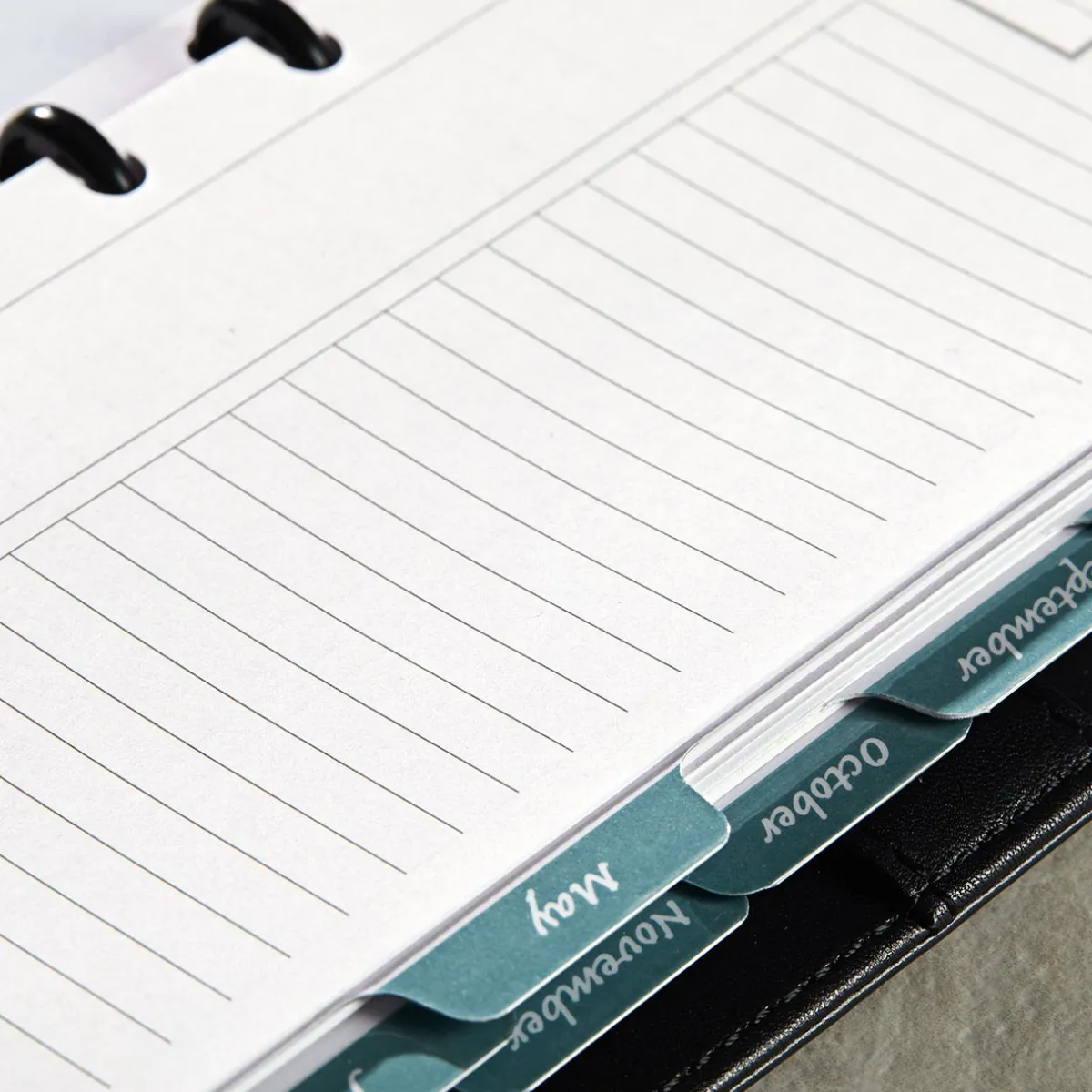 Levenger Accessories*Circa Monthly Tab Dividers (set of 12)