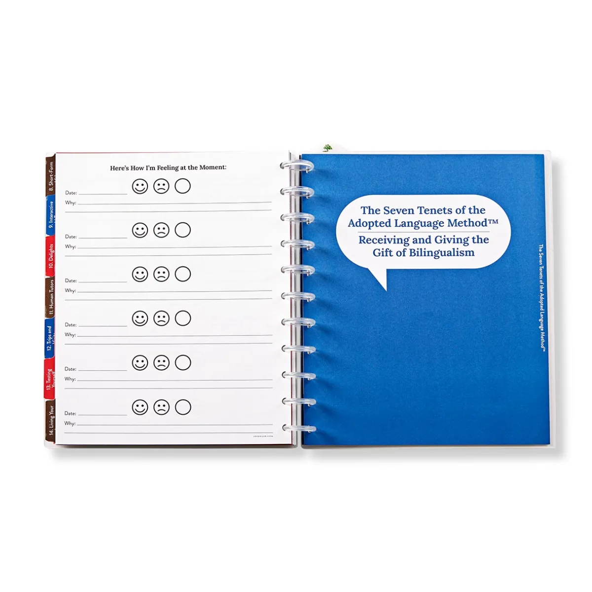 Levenger Letter Notebooks*Master Class How to Learn a Language for Life Circa Workbook