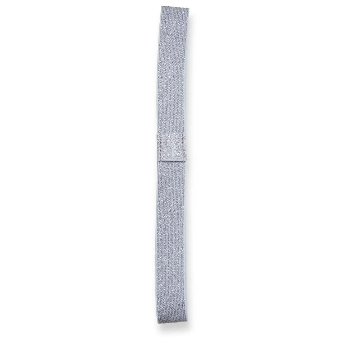 Levenger Accessories|Bookmarks*Shimmer Notebook Belt