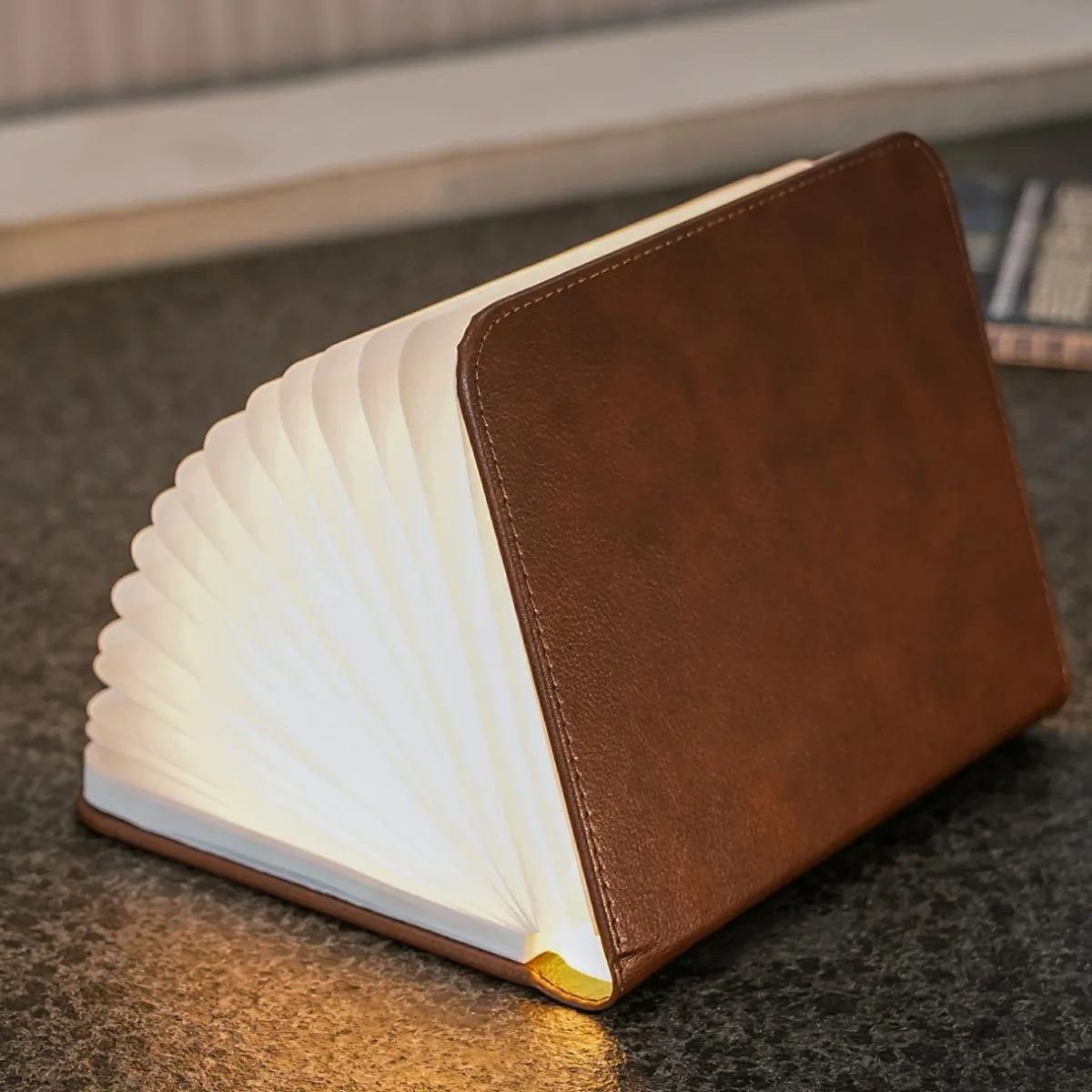 Levenger Lamps & Lighting|Lighting*Smart Book Light