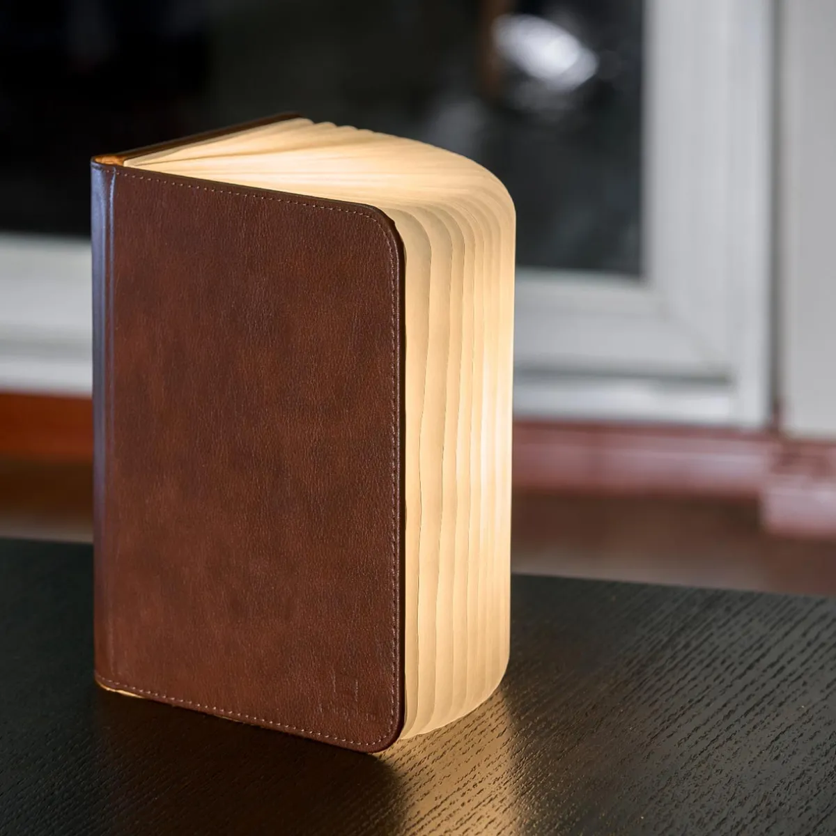 Levenger Lamps & Lighting|Lighting*Smart Book Light