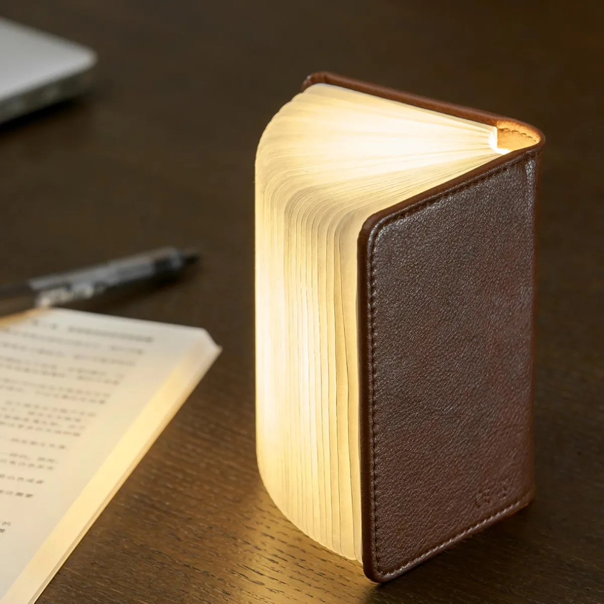 Levenger Lamps & Lighting|Lighting*Smart Book Light