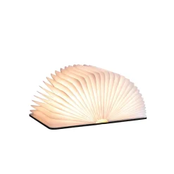 Levenger Lamps & Lighting|Lighting*Smart Book Light