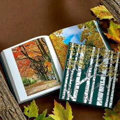 Levenger Books*The Hidden Life of Trees Leather Bound Edition