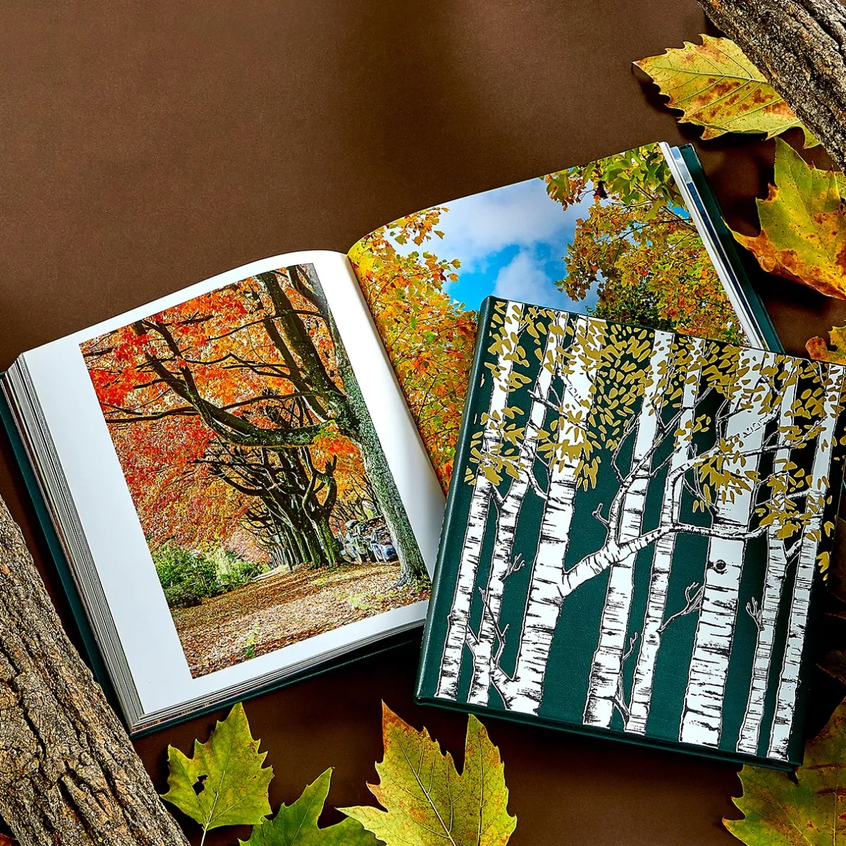 Levenger Books*The Hidden Life of Trees Leather Bound Edition