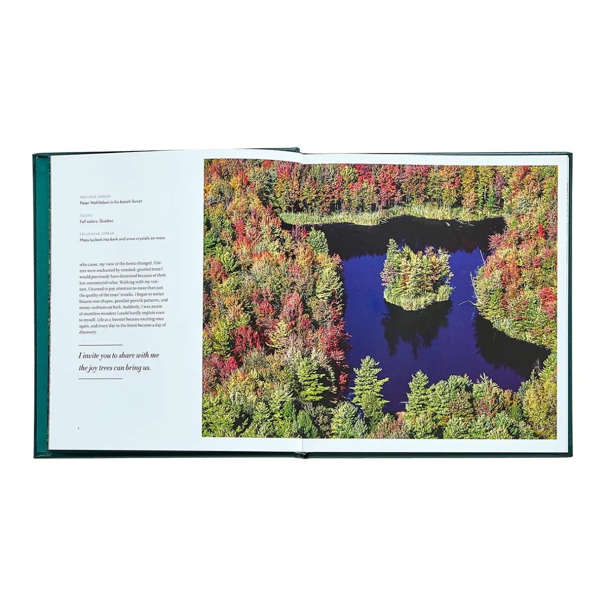 Levenger Books*The Hidden Life of Trees Leather Bound Edition