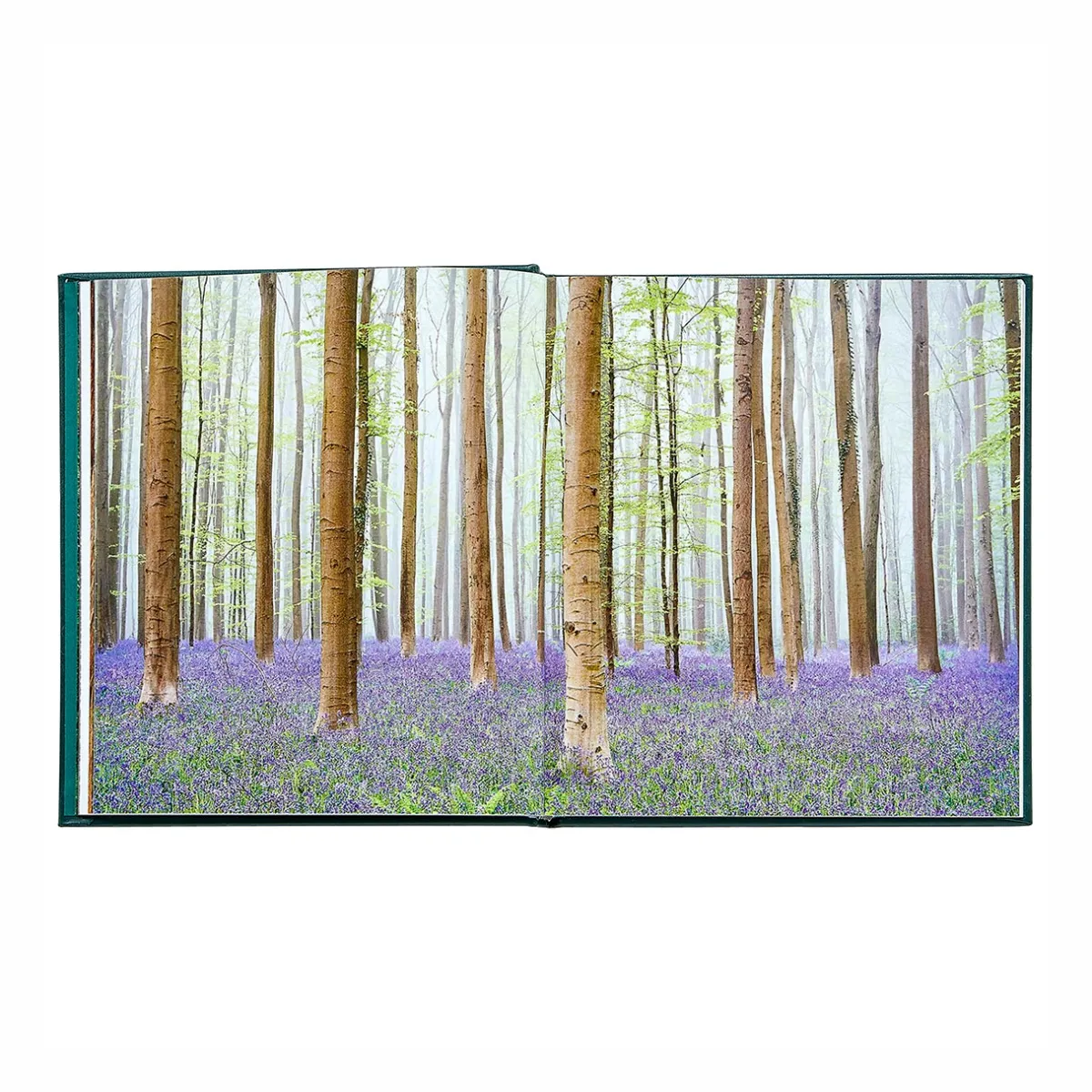 Levenger Books*The Hidden Life of Trees Leather Bound Edition