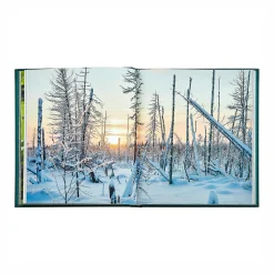 Levenger Books*The Hidden Life of Trees Leather Bound Edition