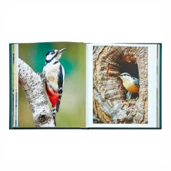 Levenger Books*The Hidden Life of Trees Leather Bound Edition