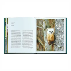 Levenger Books*The Hidden Life of Trees Leather Bound Edition
