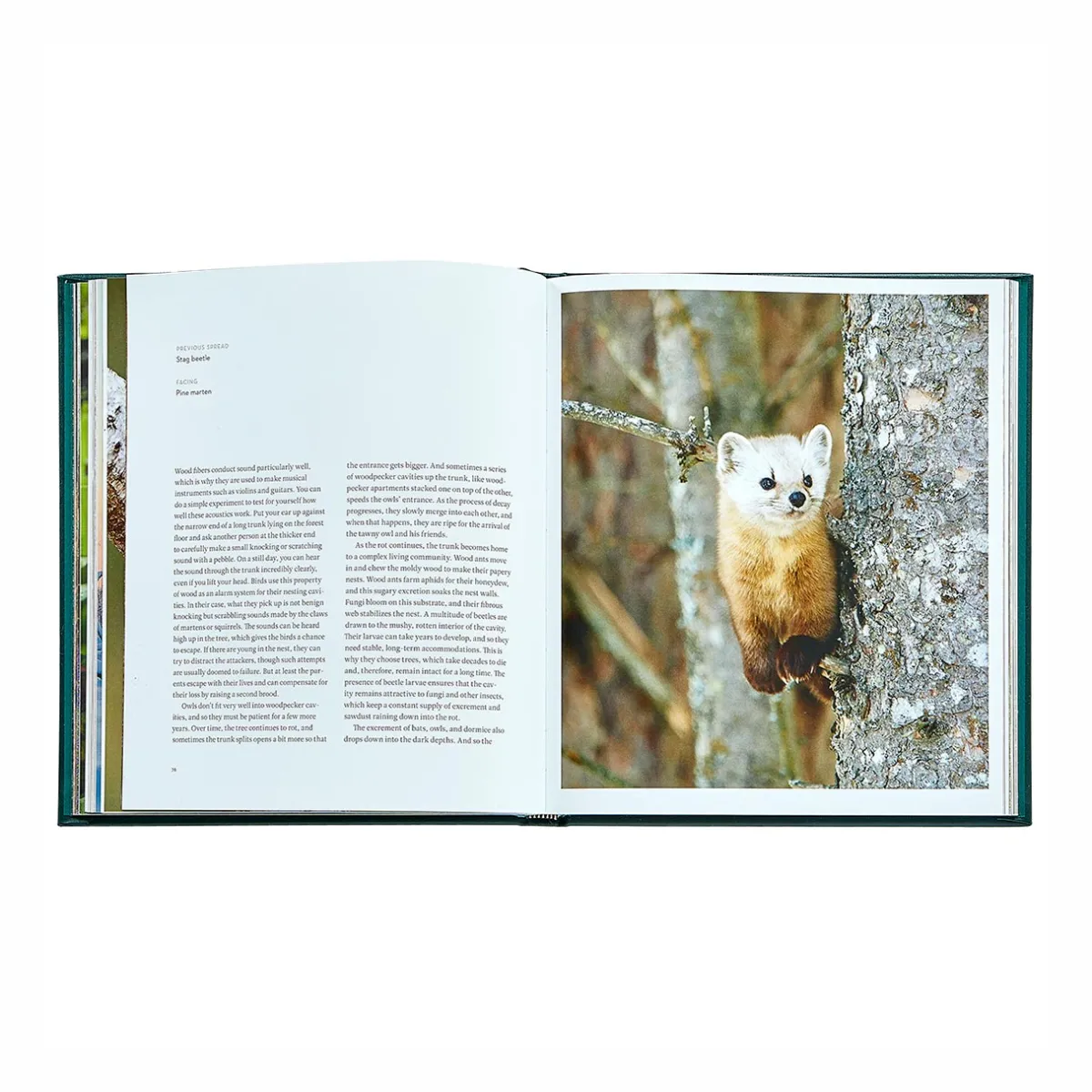 Levenger Books*The Hidden Life of Trees Leather Bound Edition