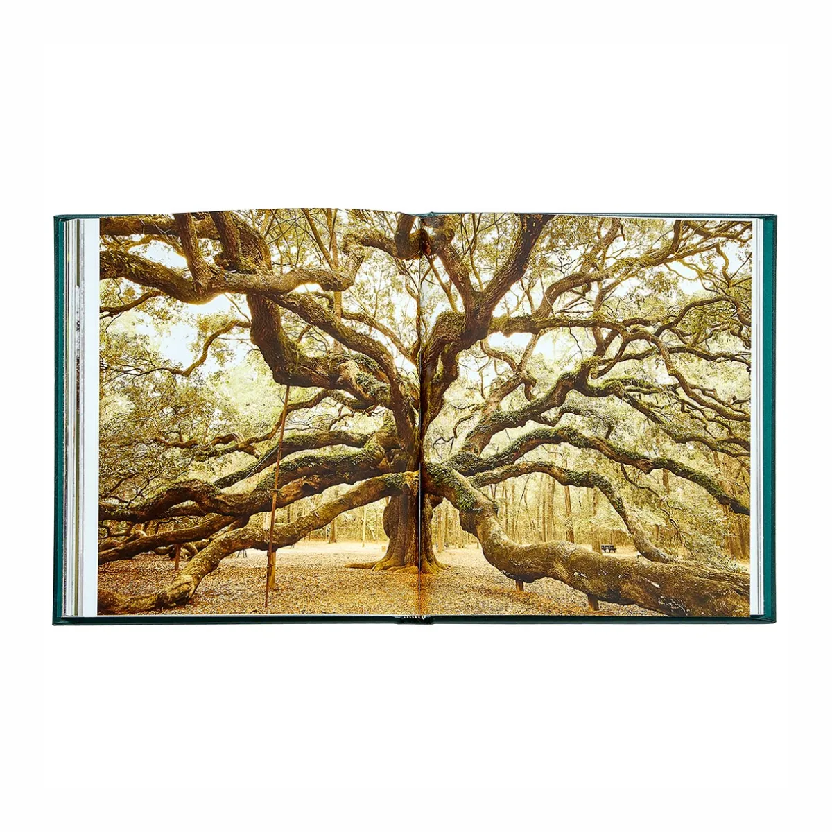 Levenger Books*The Hidden Life of Trees Leather Bound Edition