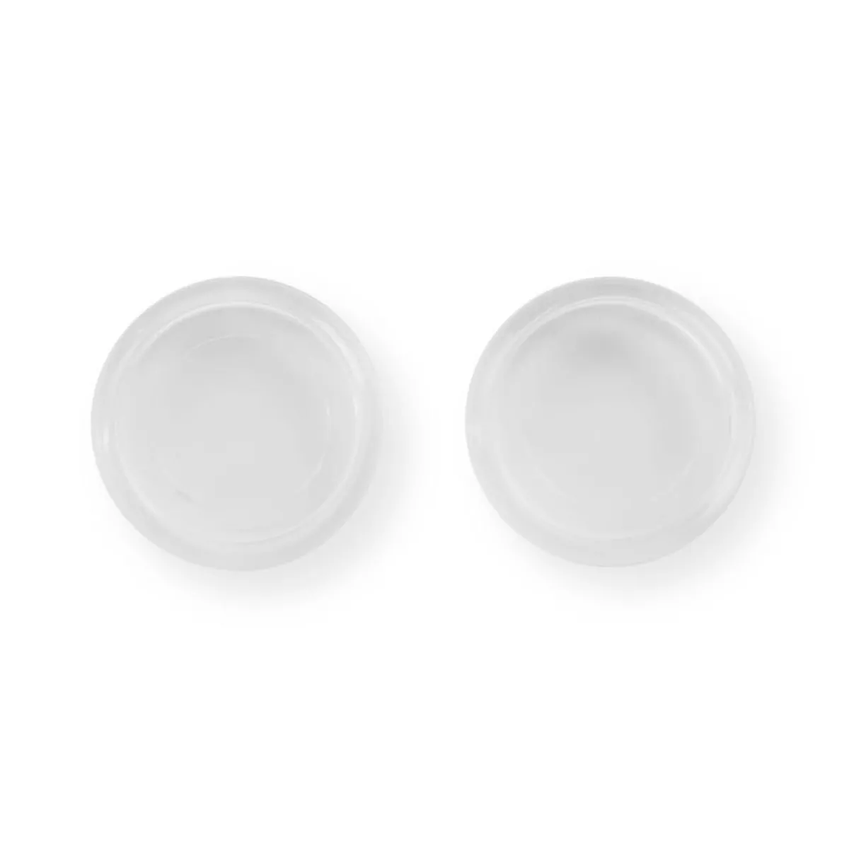 Levenger Discs*Translucent Circa Notebook Discs (set of 22)