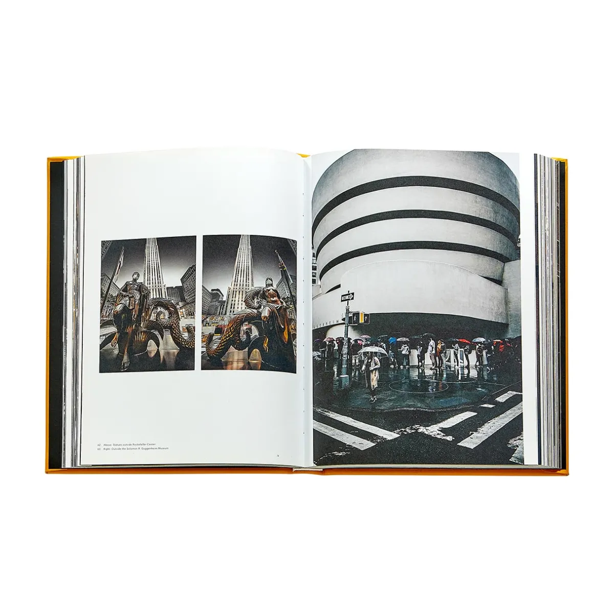 Levenger Books*Trope New York Leather Bound Edition