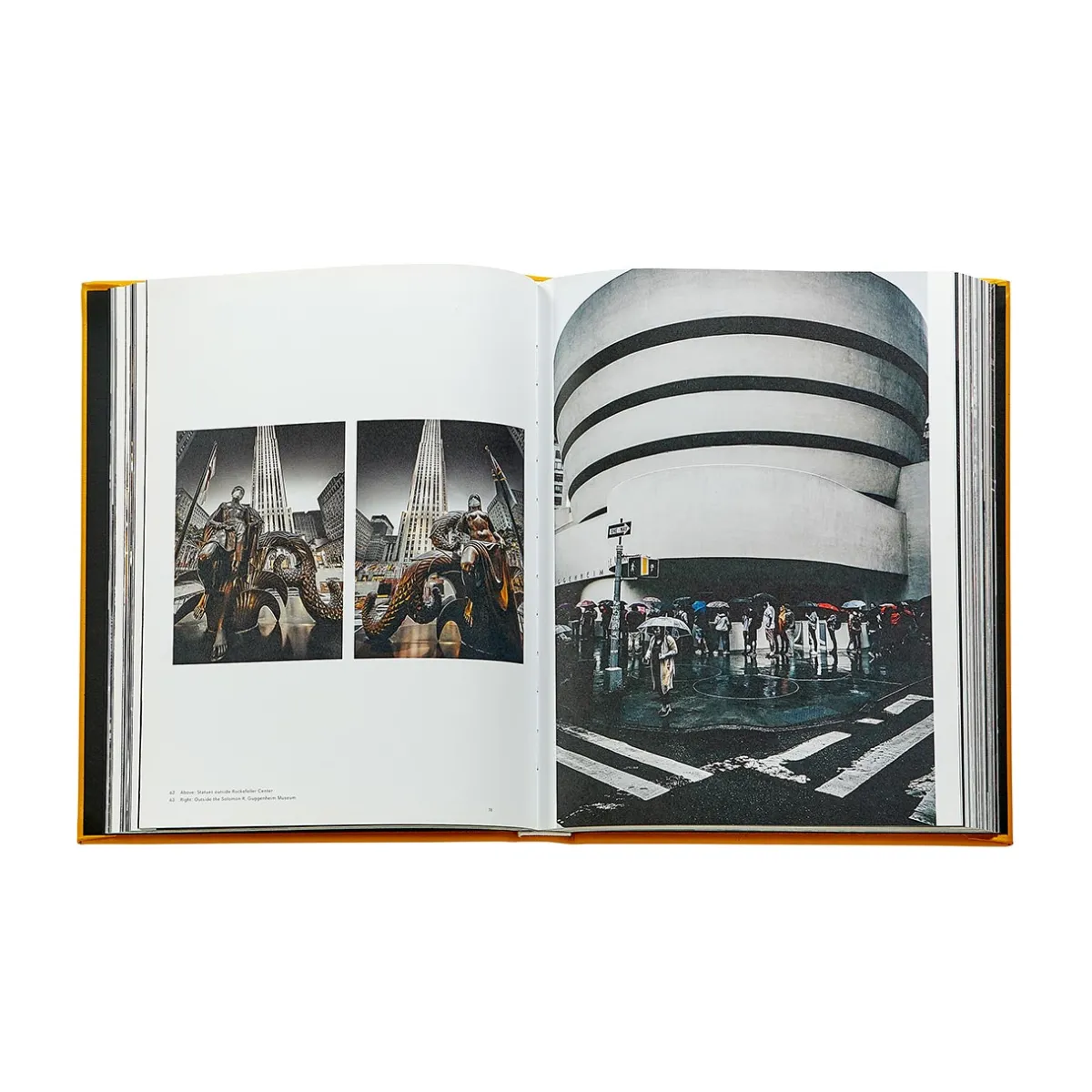 Levenger Books*Trope New York Leather Bound Edition