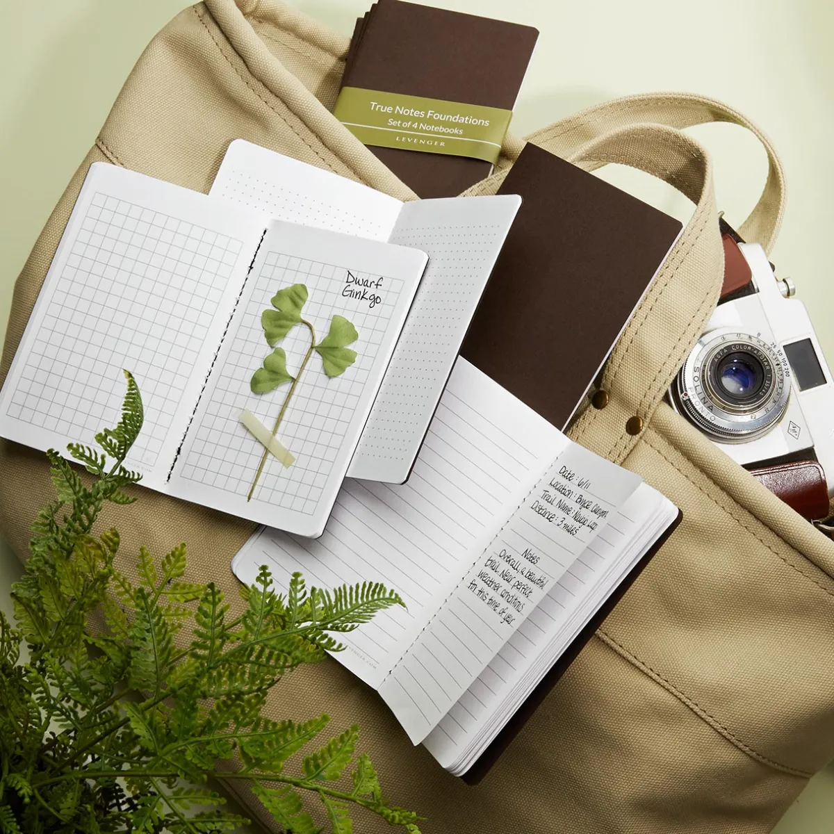 Levenger Journals & Notebooks*True Notes Foundations (set of 4)