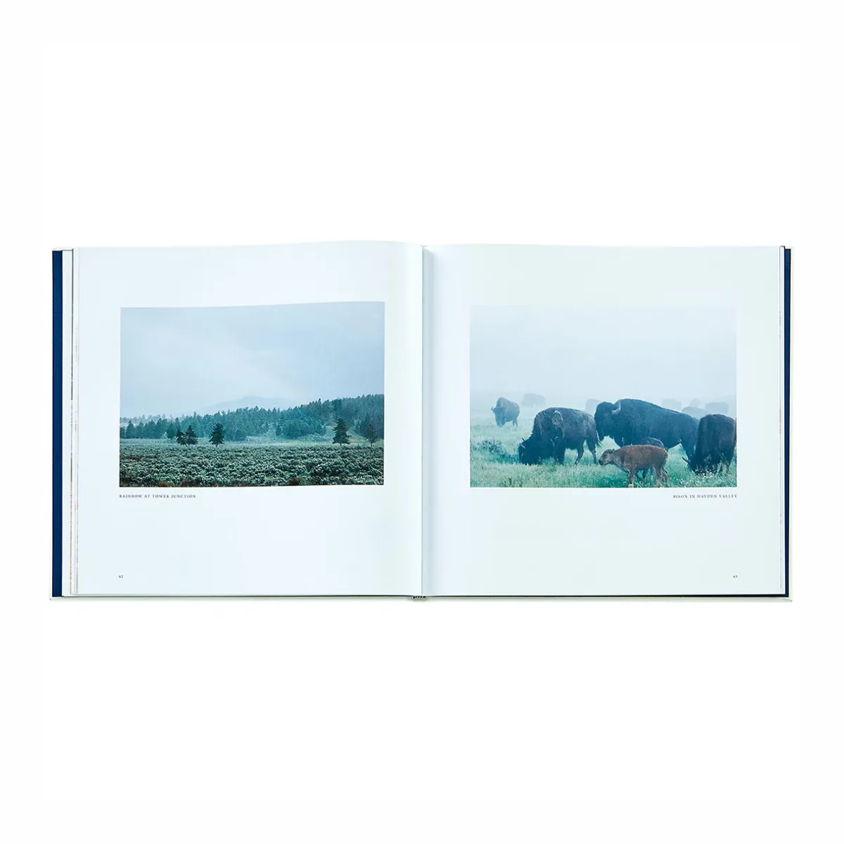 Levenger Books*Yellowstone: A Land of Wild and Wonder Leather Bound Edition