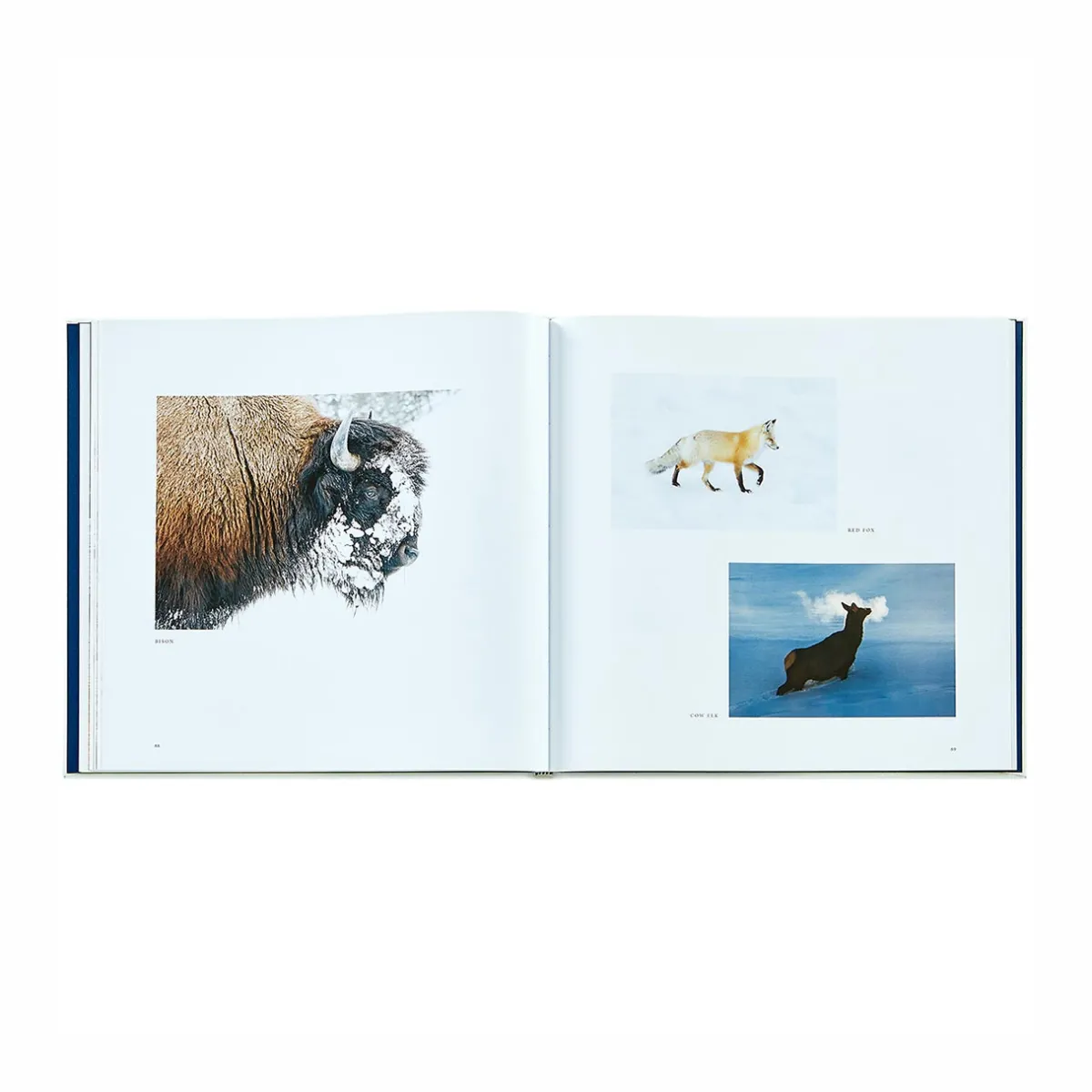 Levenger Books*Yellowstone: A Land of Wild and Wonder Leather Bound Edition