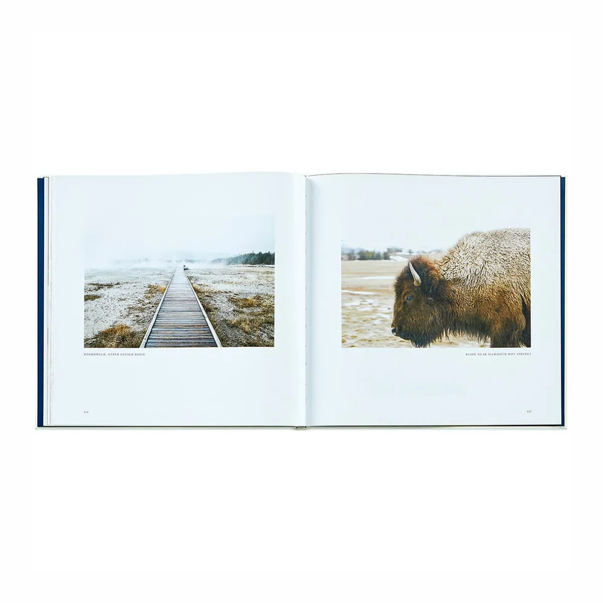 Levenger Books*Yellowstone: A Land of Wild and Wonder Leather Bound Edition