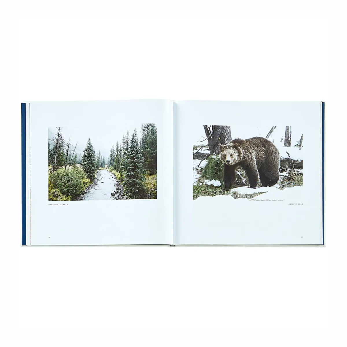 Levenger Books*Yellowstone: A Land of Wild and Wonder Leather Bound Edition